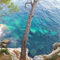 фото из отзыва ID 2142934