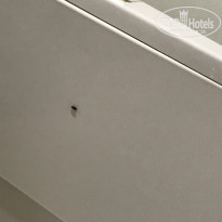 фото из отзыва ID 2143170