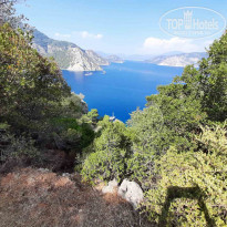 фото из отзыва ID 2143508