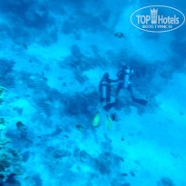 фото из отзыва ID 2142661