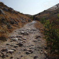 фото из отзыва ID 2143593