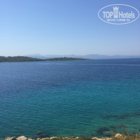 фото из отзыва ID 2143608