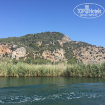 фото из отзыва ID 2143608