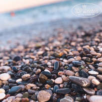 фото из отзыва ID 2143580