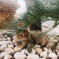 фото из отзыва ID 2143580