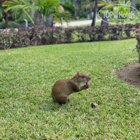 фото из отзыва ID 2143656