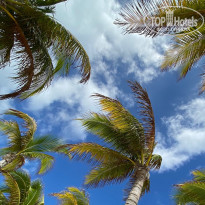 фото из отзыва ID 2143656