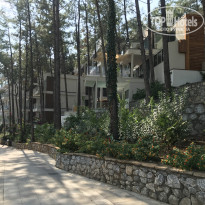 фото из отзыва ID 2143687