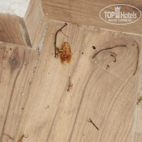 фото из отзыва ID 2143700