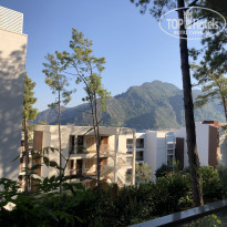 фото из отзыва ID 2143696