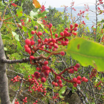 фото из отзыва ID 2143753