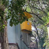 фото из отзыва ID 2143753