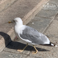 фото из отзыва ID 2143753