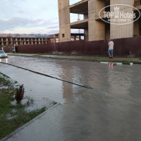 фото из отзыва ID 2142764