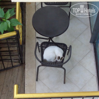 фото из отзыва ID 2143975