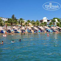 фото из отзыва ID 2144031