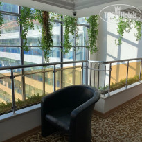 фото из отзыва ID 2143961