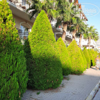 фото из отзыва ID 2144058