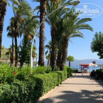 фото из отзыва ID 2143961