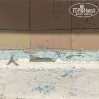 фото из отзыва ID 2144136