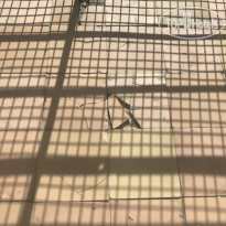 фото из отзыва ID 2144136