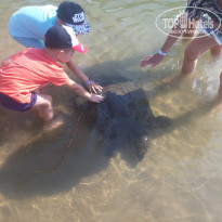 фото из отзыва ID 2144230