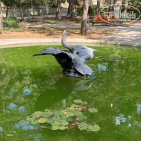 фото из отзыва ID 2143753