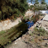 фото из отзыва ID 2144314