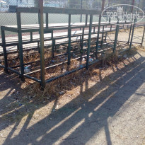 фото из отзыва ID 2144314