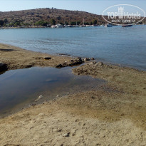 фото из отзыва ID 2144314