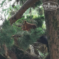 фото из отзыва ID 2144433