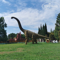 фото из отзыва ID 2144433