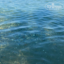 фото из отзыва ID 2144733