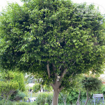 фото из отзыва ID 2144733