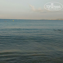 фото из отзыва ID 2144756