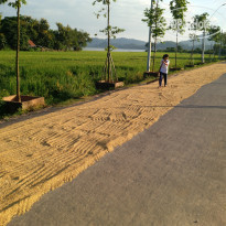 фото из отзыва ID 2144919