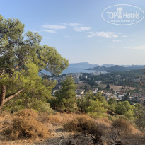 фото из отзыва ID 2144939