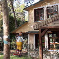 фото из отзыва ID 2145100