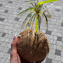 фото из отзыва ID 2145116