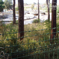 фото из отзыва ID 2145167