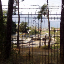 фото из отзыва ID 2145167