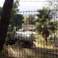 фото из отзыва ID 2145167