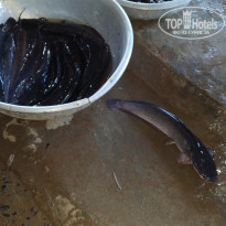 фото из отзыва ID 2144919