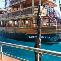 фото из отзыва ID 2145223