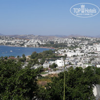 фото из отзыва ID 2145303