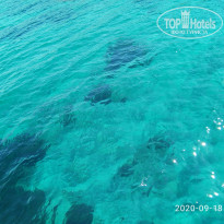 фото из отзыва ID 2145303