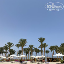 фото из отзыва ID 2145492