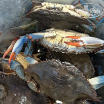 фото из отзыва ID 2145604