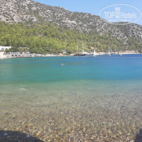 фото из отзыва ID 2145604