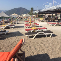 фото из отзыва ID 2145705